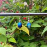 MINI BERRIES 11