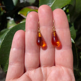 Orange glass earrings with gold trim.
