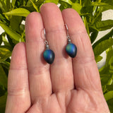 Pair of blue-black earrings held between fingers with green leaves in the background