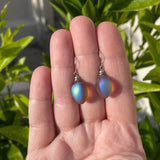 Multicolored earrings held in a hand with a green leafy background